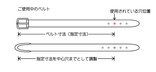 �T�C�Y���{