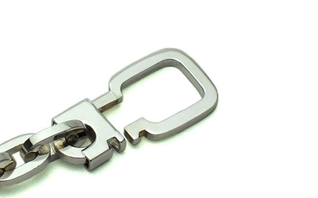 �_�C���X�L�[�z���_�[