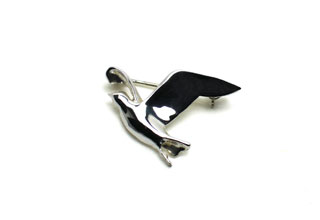 �o�C�G�i�s��