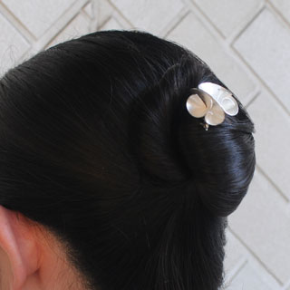 �g���V�I30 �u���[�`