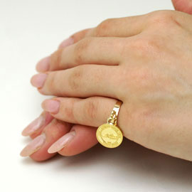 �R�C�������O���p�C���[�W