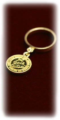 �R�C�������O